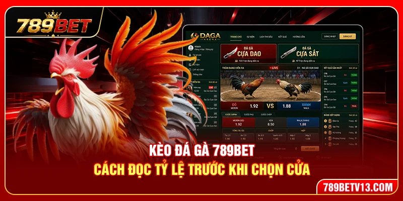 Kèo Đá Gà 789BET – Cách Đọc Tỷ Lệ Chuẩn Xác Cho Người Mới
