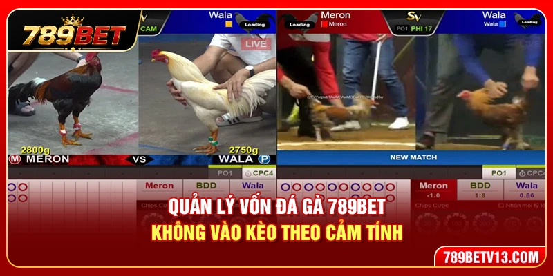 Quản Lý Vốn Đá Gà 789BET – Không Vào Kèo Theo Cảm Tính