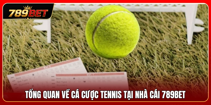 Tìm hiểu thông tin tổng quan kèo tennis 789BET