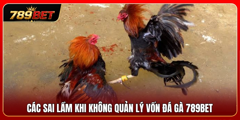 Những sai lầm phổ biến khi bỏ qua quản lý vốn đá gà 789BET 